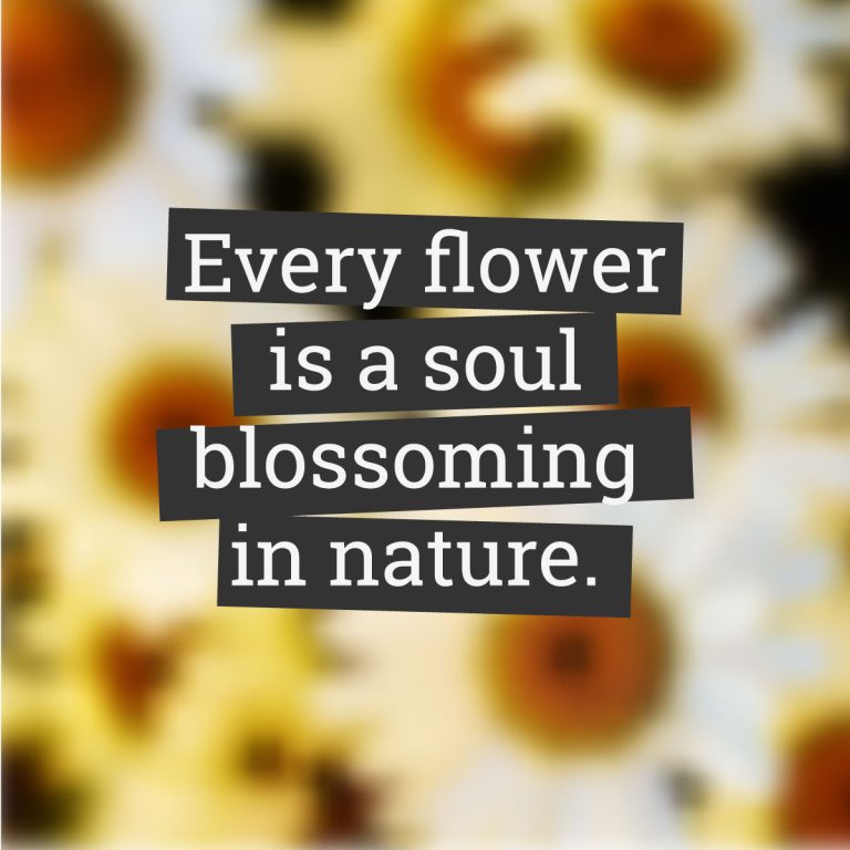 Suvichar Quotes for Self-Growth: Inspire Positivity and Growth Daily